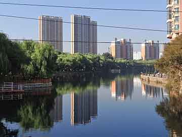 2025新澳门天天彩资料查询,澳门彩票资料查询，探索未来的新澳门天天彩