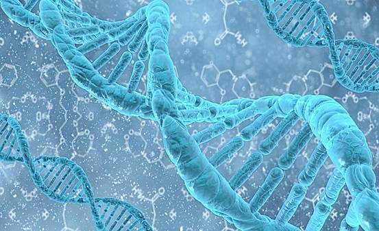 最新生物基因工程领域的突破与前景展望
