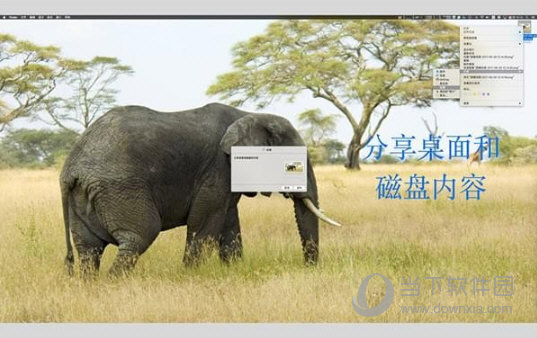 我要香港今期的四不像,精选资料解析大全