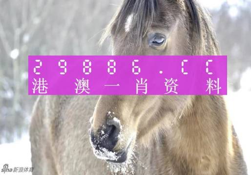 澳门一肖一码100‰,精选解释解析落实