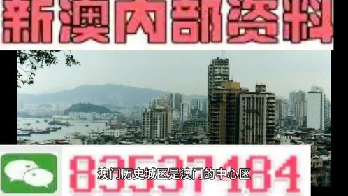 204年澳门免费精准资料,最佳精选解释落实