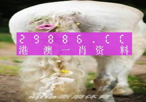 澳门火麒麟一肖一码2024-2025,文明解释解析落实