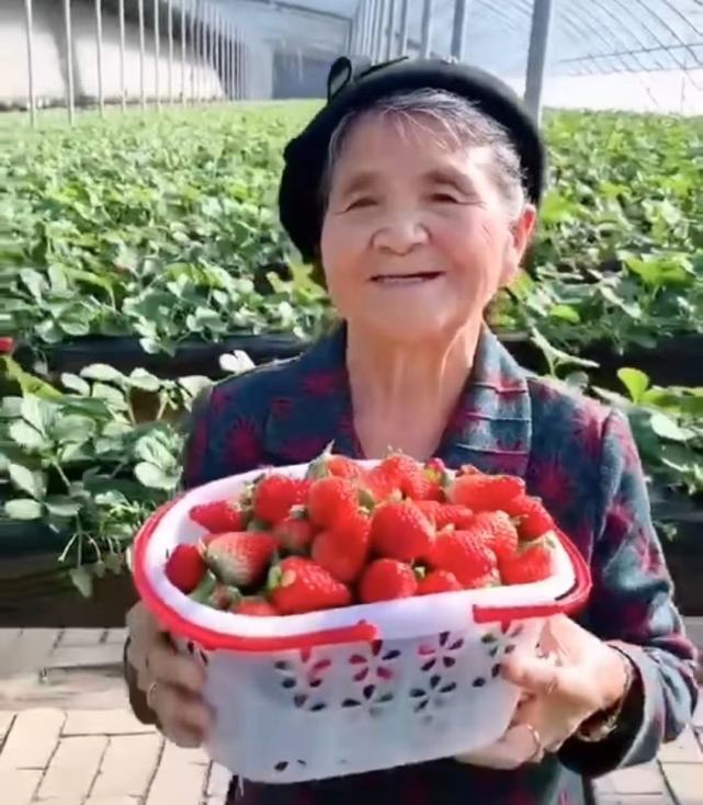 水果奶奶二论坛资料,精选解释解析落实