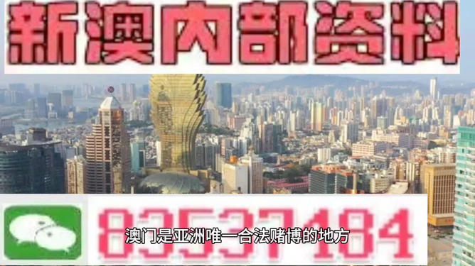 新澳门精准资料免费提供,富强解释解析落实