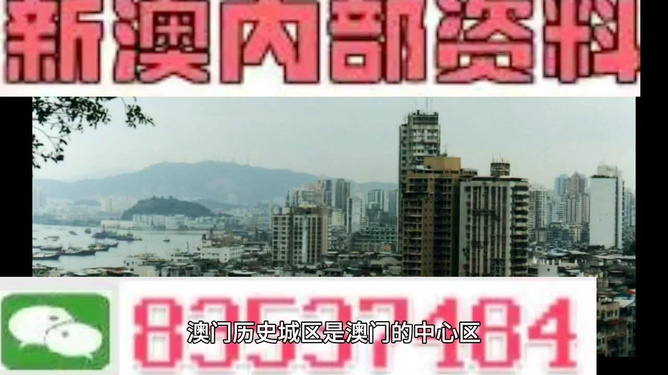 新澳门资料免费精准,富强解释解析落实