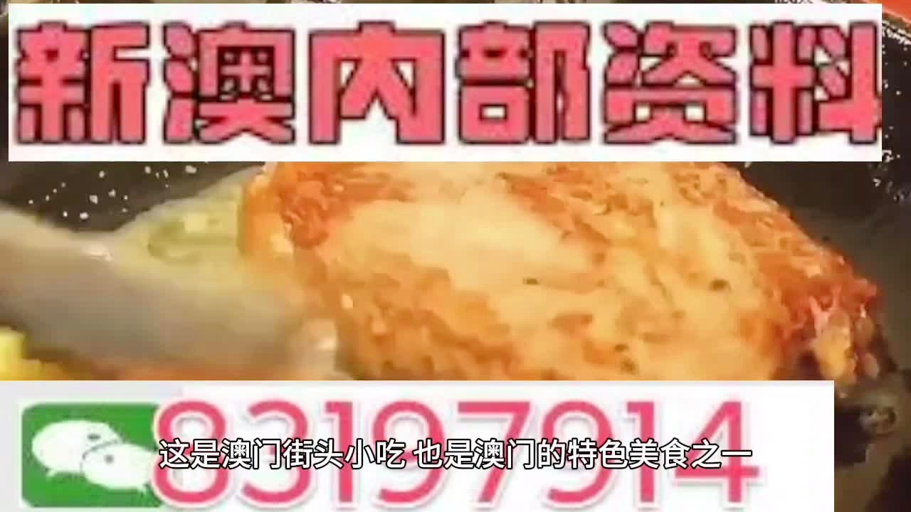新澳门免费资料大全最新版本更新内容,精选解释解析落实
