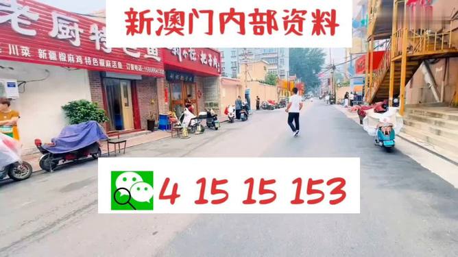 澳门天天开好彩大全53期,最佳精选解释落实