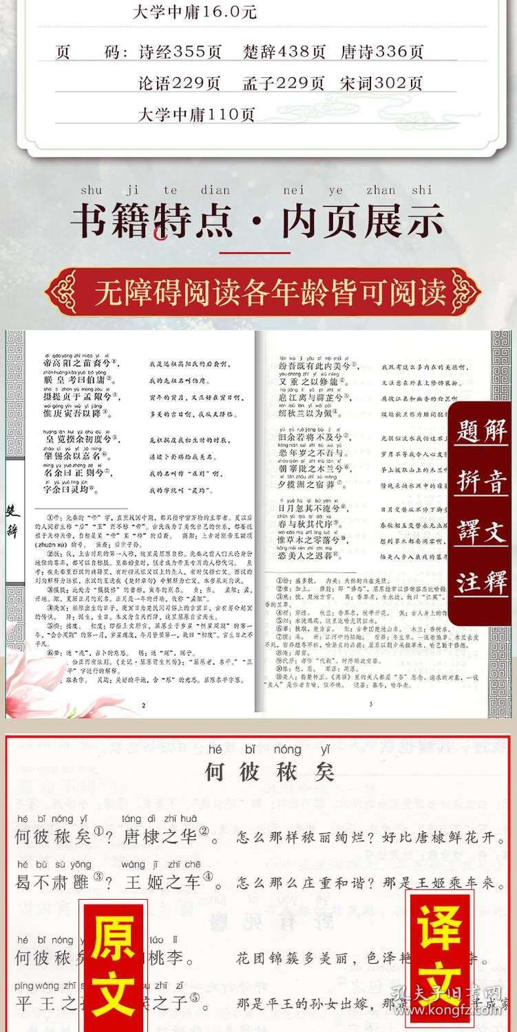 4949正版免费资料大全,最佳精选解释落实