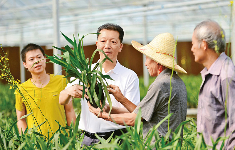 新奥门特免费资料大全火凤凰,最佳精选解释落实