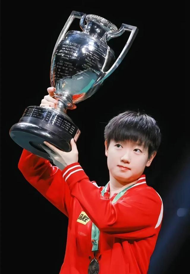 2024-2025澳门天天开好彩大全2024-2025,富强解释解析落实