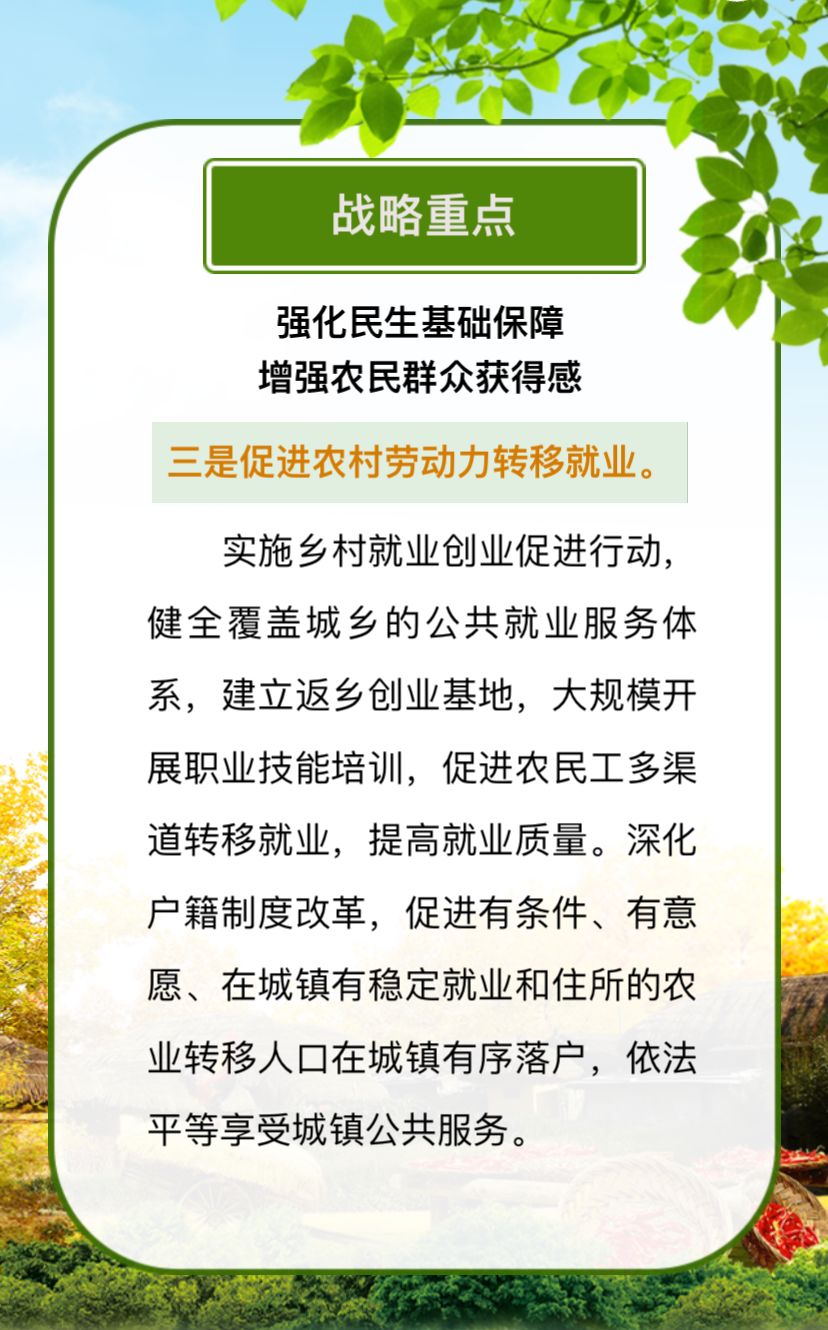 百科 第262页