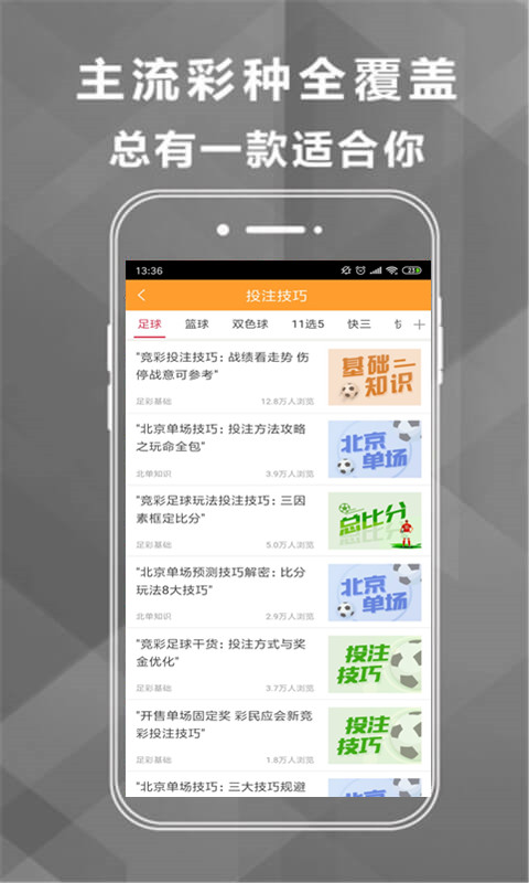 三肖三期必出特马,精选解释解析落实
