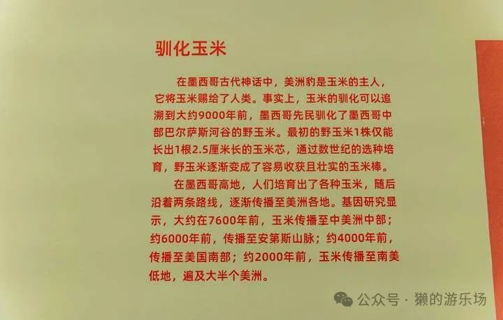 246免费资料大全正版资料版,文明解释解析落实