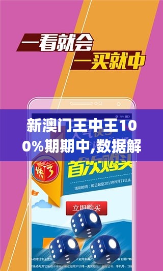 澳门王中王100精准数据解读,最佳精选解释落实