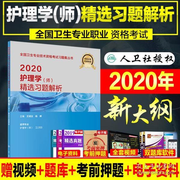 246免费资料大全正版资料版,精选资料解析大全