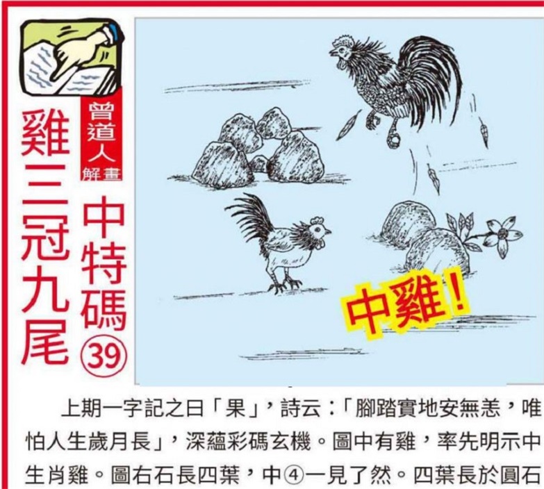 2024-2025新奥正版资料大全,精选解释解析落实