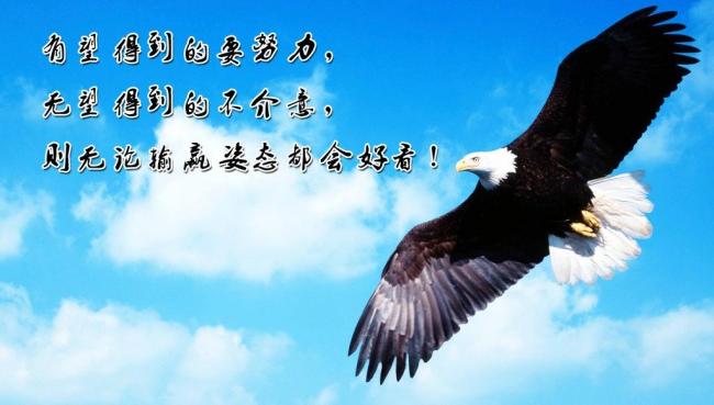 新奥今天最新资料晚上出冷汗,精选解释解析落实