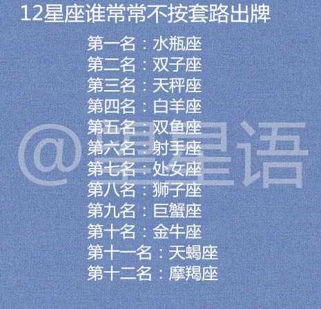 2024-2025十二生肖49个码,精选资料解析大全