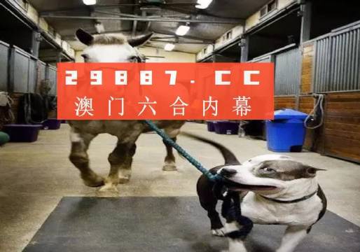澳门一肖一码一必中一肖同舟前进,精选解释解析落实