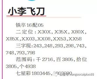 澳门一码一肖一待一中今晚,全面释义解释落实