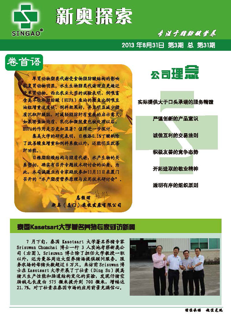 新奥精准免费资料提供,全面释义解释落实