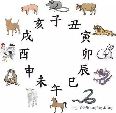 白小姐三肖三码必中生肖,全面释义解释落实