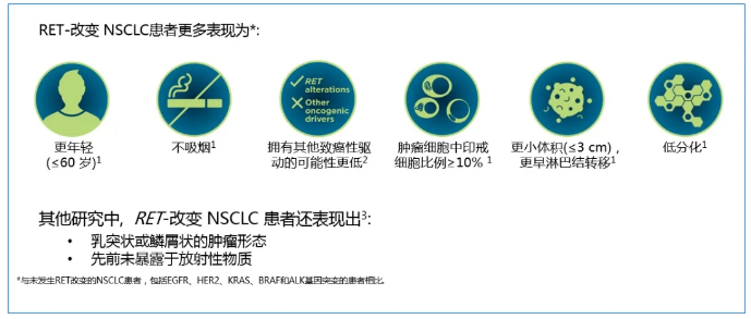 2025新澳最精准资料,全面释义解释落实