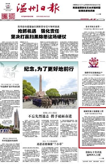 正版资料全年资料大全4949 a,全面释义解释落实