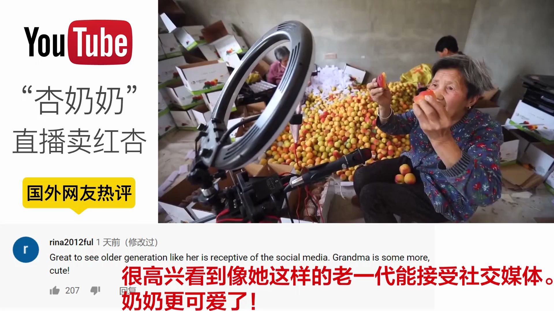 新澳好彩免费资料查询水果奶奶,全面释义解释落实