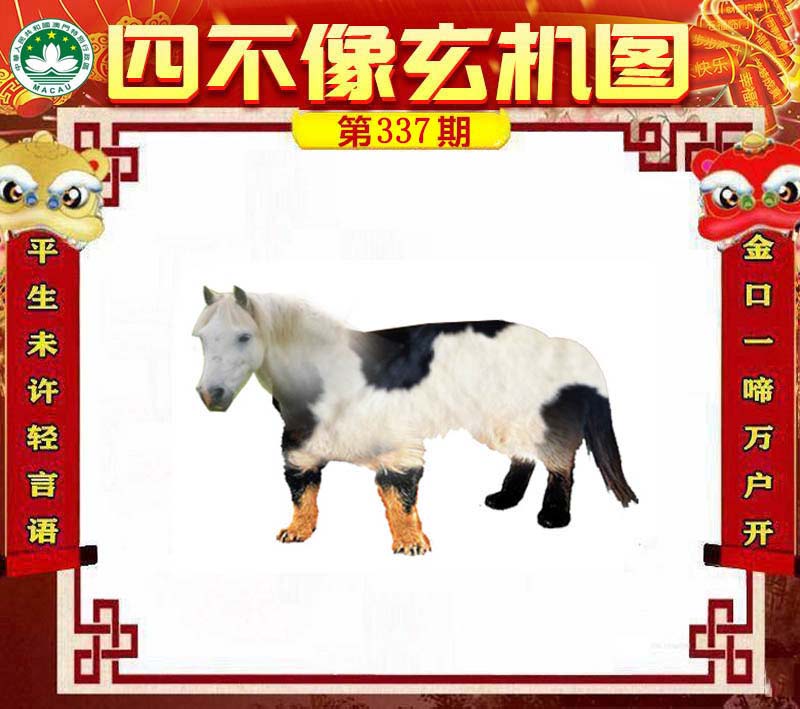 白小姐四不像一肖开奖,全面释义解释落实