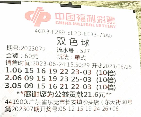 下一期可能中奖号码,全面释义解释落实