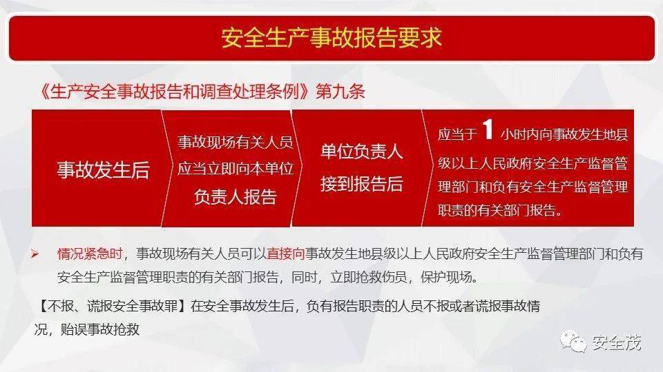 494949最快开奖结果 香港we,全面释义解释落实