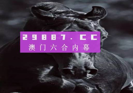 澳门六开彩天天开奖结果查询今天澳门,全面释义解释落实