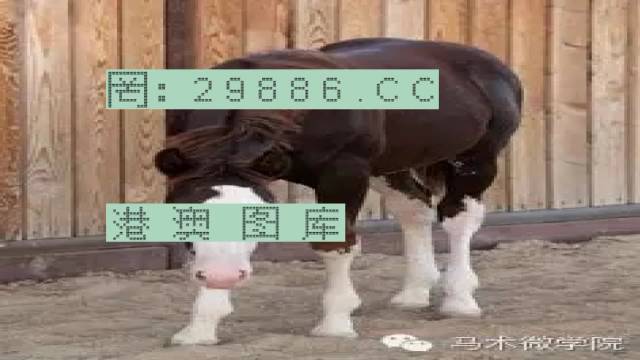 一肖一码9995cocm,全面释义解释落实