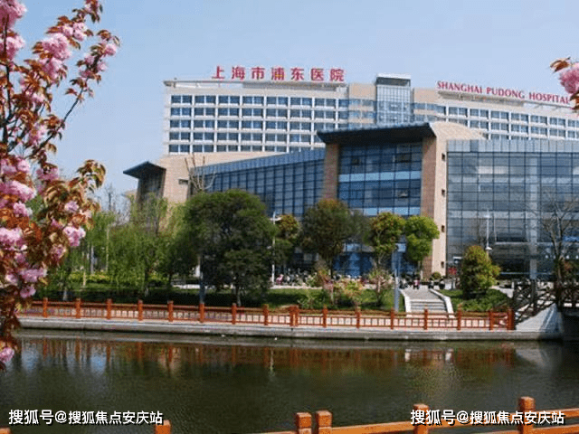 新奥门2025资料免费网址,全面释义解释落实