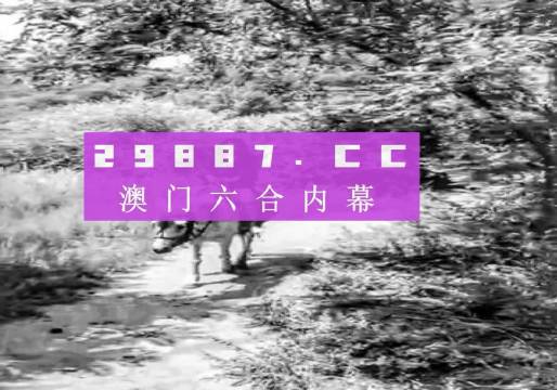 澳门10码必中,准确资料,全面释义解释落实