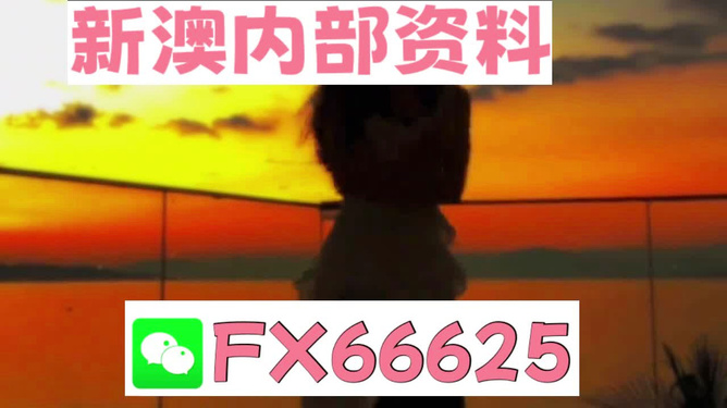 澳门管家婆资料一码一特一,全面释义解释落实