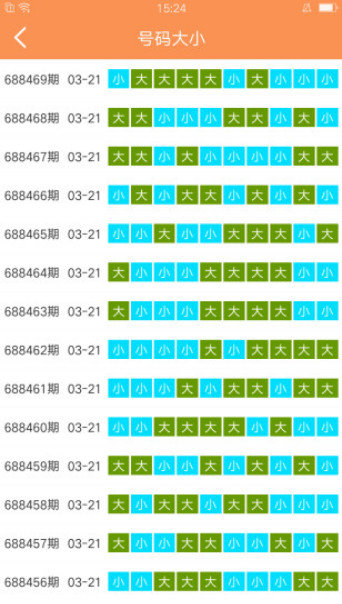 2025澳门天天开好彩大全65期,全面释义解释落实