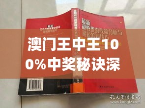 新澳门王中王王中王免费,全面释义解释落实