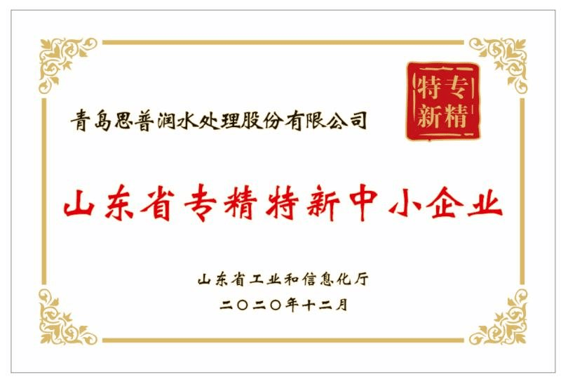 新奥最新版精准特,全面释义解释落实