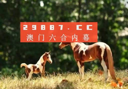 澳门今期今晚四不像,全面释义解释落实