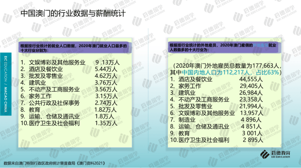 新澳门免费资料大全在线查看,全面释义解释落实