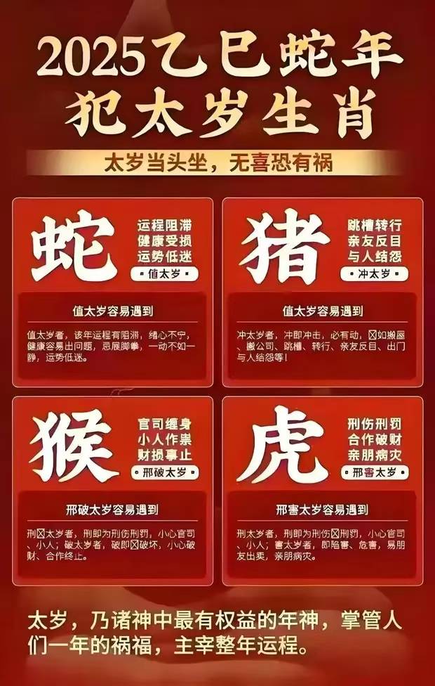 2025十二生肖49个码,全面释义解释落实