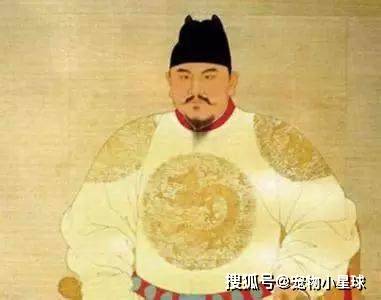 百科 第185页