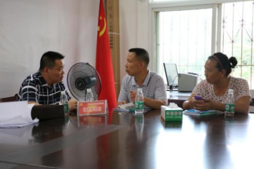 精准三期内必开一肖,全面释义解释落实