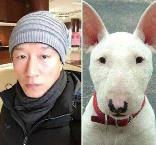 今晚四不像最准确一肖,全面释义解释落实