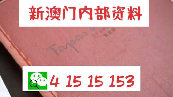 新澳门内部精准资料,全面释义解释落实