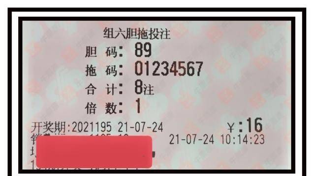 天下彩与天空彩票资料,全面释义解释落实
