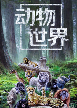 dw动物世界最新消息
