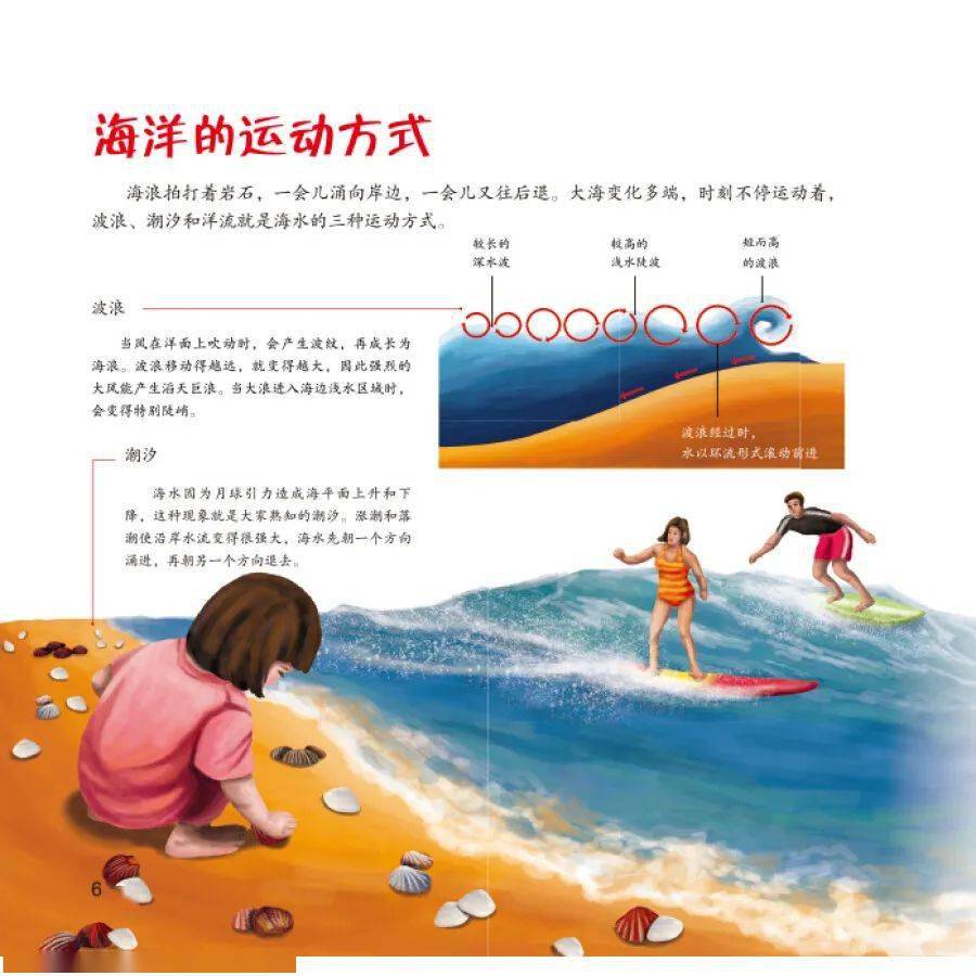 正版资料免费综合大全,正版资料免费综合大全，探索知识海洋的无价之宝